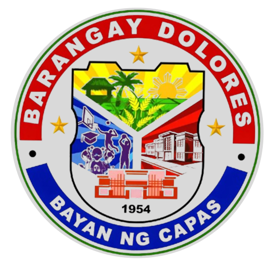 Barangay Activity