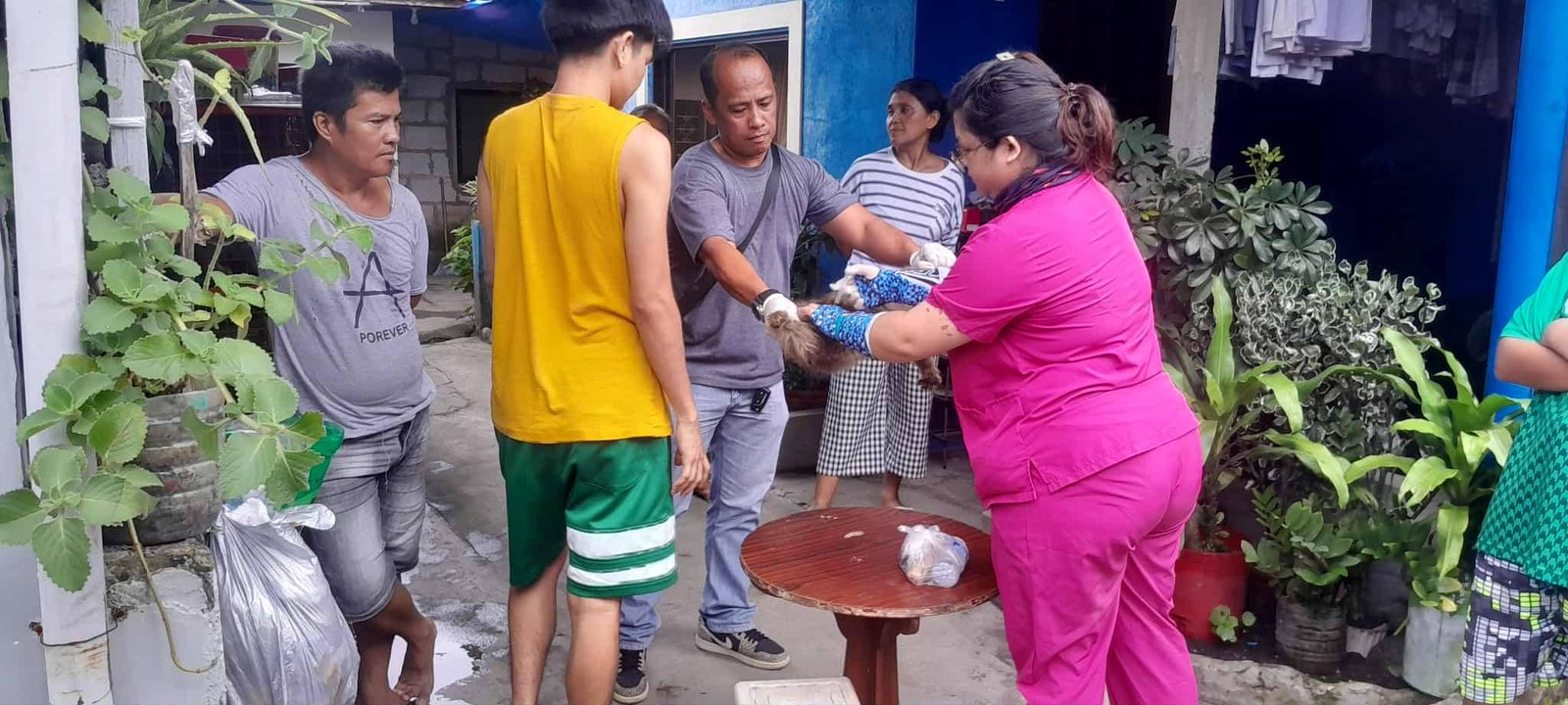 Anti Rabies Vaccination